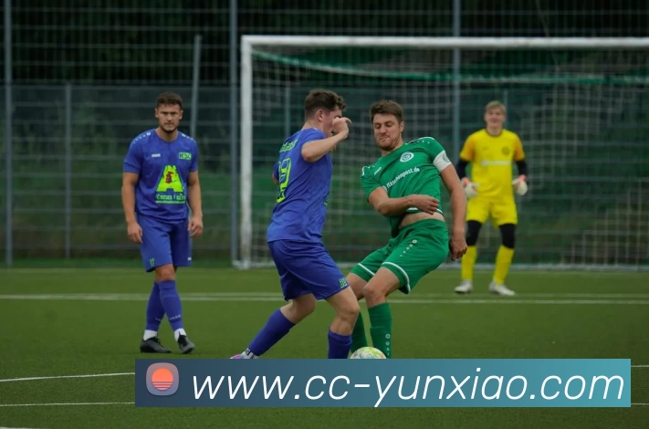 罗马前锋利昂贝利因左腿筋受伤将缺席两周比赛